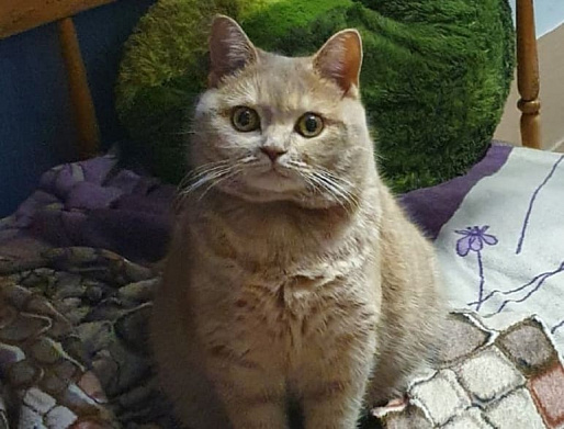 Кристина БОЧАРОВА