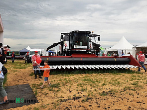 День донского поля 2021