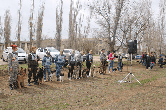 В тройке лучших