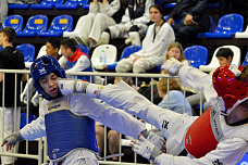 В Ростове проходят бои всероссийского турнира по тхэквондо «Кубок Дона»