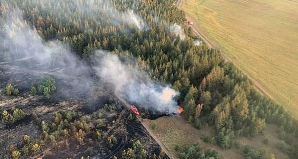 Виновник пожара в Цимлянском лесхозе заплатит более 3 миллионов рублей