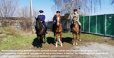 Казаки-дружинники Миллеровского конного взвода сейчас патрулируют улицы вместе с сотрудниками полиции