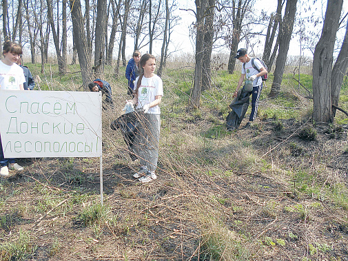 «Зеленый патруль» Ясненской школы убирает лесополосу вдоль дороги Ростов – Волгодонск.