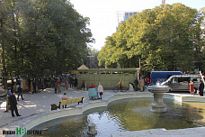 Совсем другая история