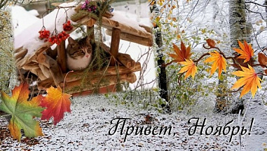 То дождь, то снег… Донской ноябрь заставит попрощаться с летом