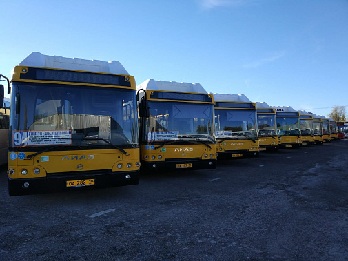 Автопарк ростовских автобусов №96 и №98 обновят