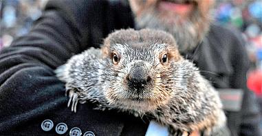 Что можно отметить в этот день