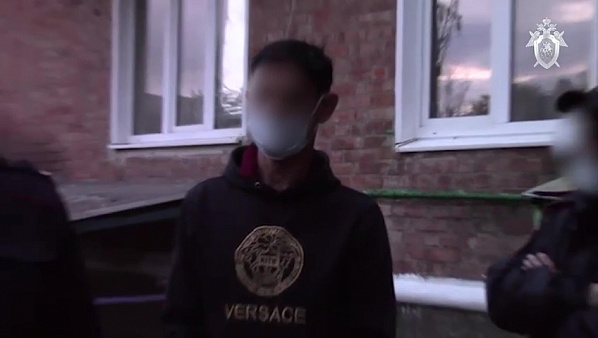 Годовалого ребенка в Ростовской области похитили и продали