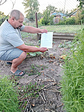 На участке Сергея Рашанского на Примерова, 42 все засохло, а в платежке заводу указано, что использовал он не менее 150 кубов воды.