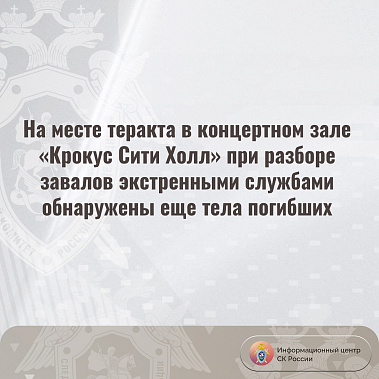 В Следкоме России обратились к очевидцам теракта в «Крокус Сити Холле» с просьбой о помощи