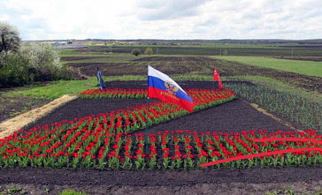 Миллеровской пчеловод в честь героев СВО сделал цветочную композицию
