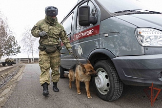 Росгвардейцы-кинологи пройдут подготовку в донском ведомственном учебном центре