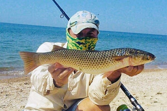 Пиленгас возвращается в Азовское море