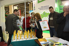 Техника «на грани» и прочистка мозгов