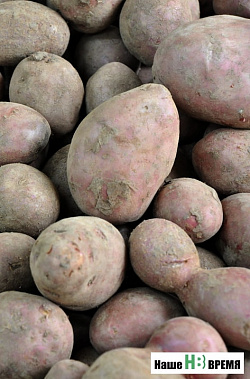 Торговлю рядом с двором предложили узаконить в Ростовской области