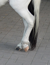 Лето в разгаре