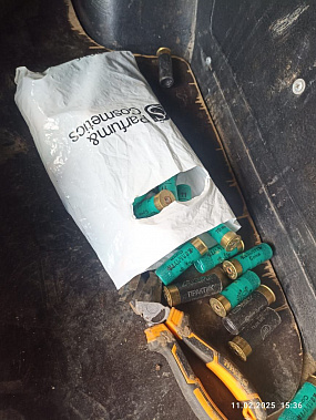 Возникла необходимость перевезти через границу охотничьи патроны