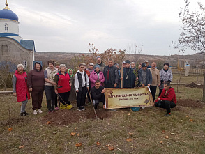 В хуторе Погорелове высадили фруктовые деревья