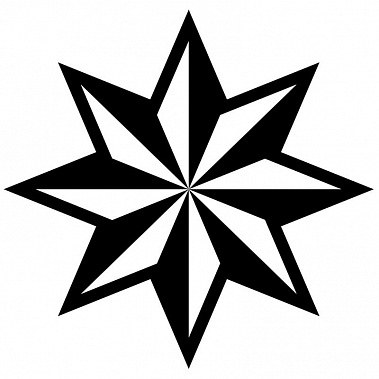 Сальского "АУЕшника" оштрафовали