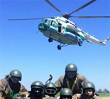 По-над Доном – на канатах…