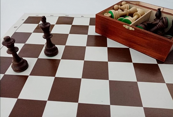 Организаторы проекта "Шахматное искусство" проведут праздничный турнир