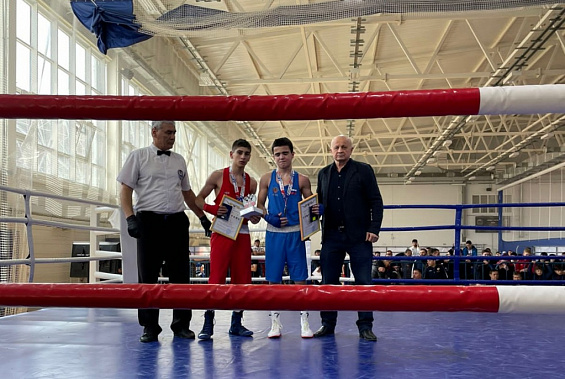 На первенстве ЮФО по боксу отличились ростовские спортсмены