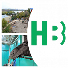 Программа на завтра