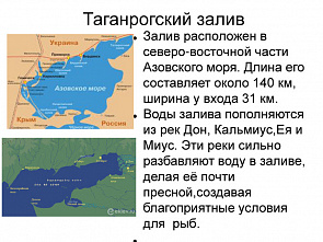 Меняется состав рыбной популяции в Таганрогском заливе