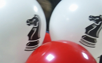 Провели шахматный фестиваль «Рождественские каникулы»