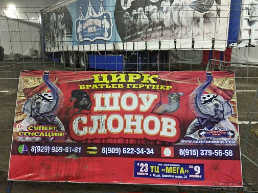 Слонам неуютно