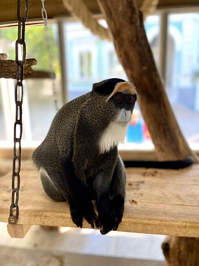 Фото: соцсети зоопарка