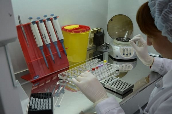 В Ростовской области зарегистрировано 97 новых случаев коронавируса