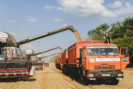 Накал жатвы растет. Собрано уже более двух миллионов тонн зерна