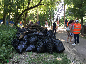 Исцеление Темерника