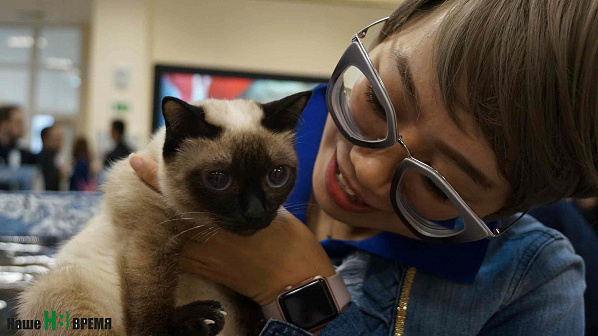 Ростовская кошка и студентка из Китая сразу нашли общий язык.