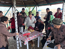 В хуторе Погорелов высадили фруктовые деревья