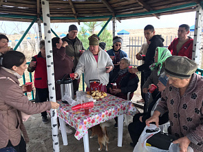 В хуторе Погорелов высадили фруктовые деревья