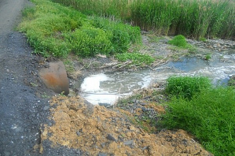Минприроды расследует факт массовой гибели рыбы в балке Осиновой