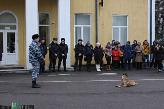Они «смеются» хвостами