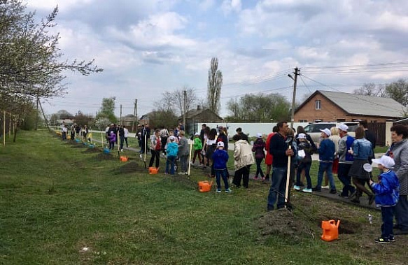 Аллея памяти появилась в станице Ольгинской
