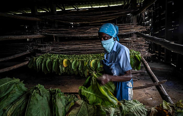 Хроники коронавируса: «Евровидение» будет, в Петербурге плачет ангел, на Дону обещают смягчить ограничения