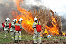 К лесным пожарам готовы