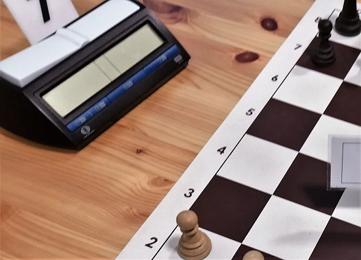 Донская команда сыграет с несколькими арабскими сборными