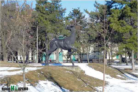 Ростовская область, программа, Формирование комфортной городской среды, ремонт дворов, благоустройство дворов