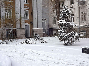 Зима раскрыла снежные объятья