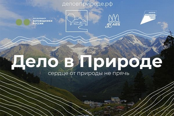 У ростовчан есть шанс победить в конкурсе «Дело в природе»