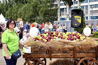 Этюд в зеленых тонах