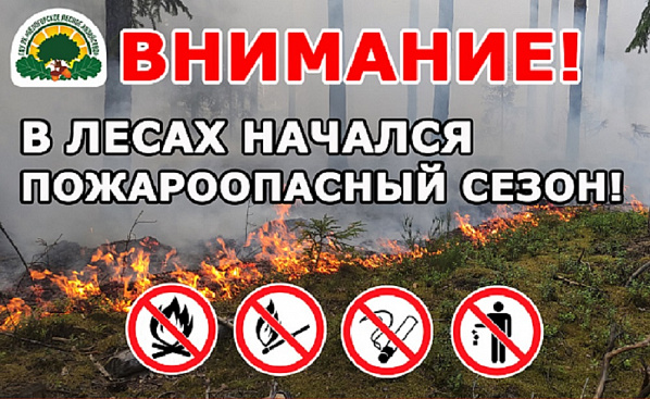 В донских лесах объявлен пожароопасный сезон