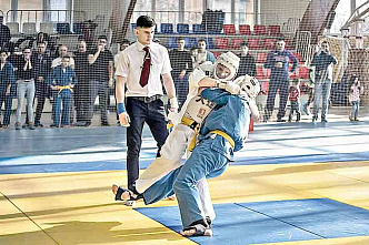 На чемпионате ЮФО по кудо лучшими стали ростовчане