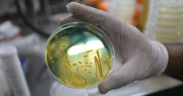 Источник фото: ТАСС/EPA/YAHYA NEMAH.